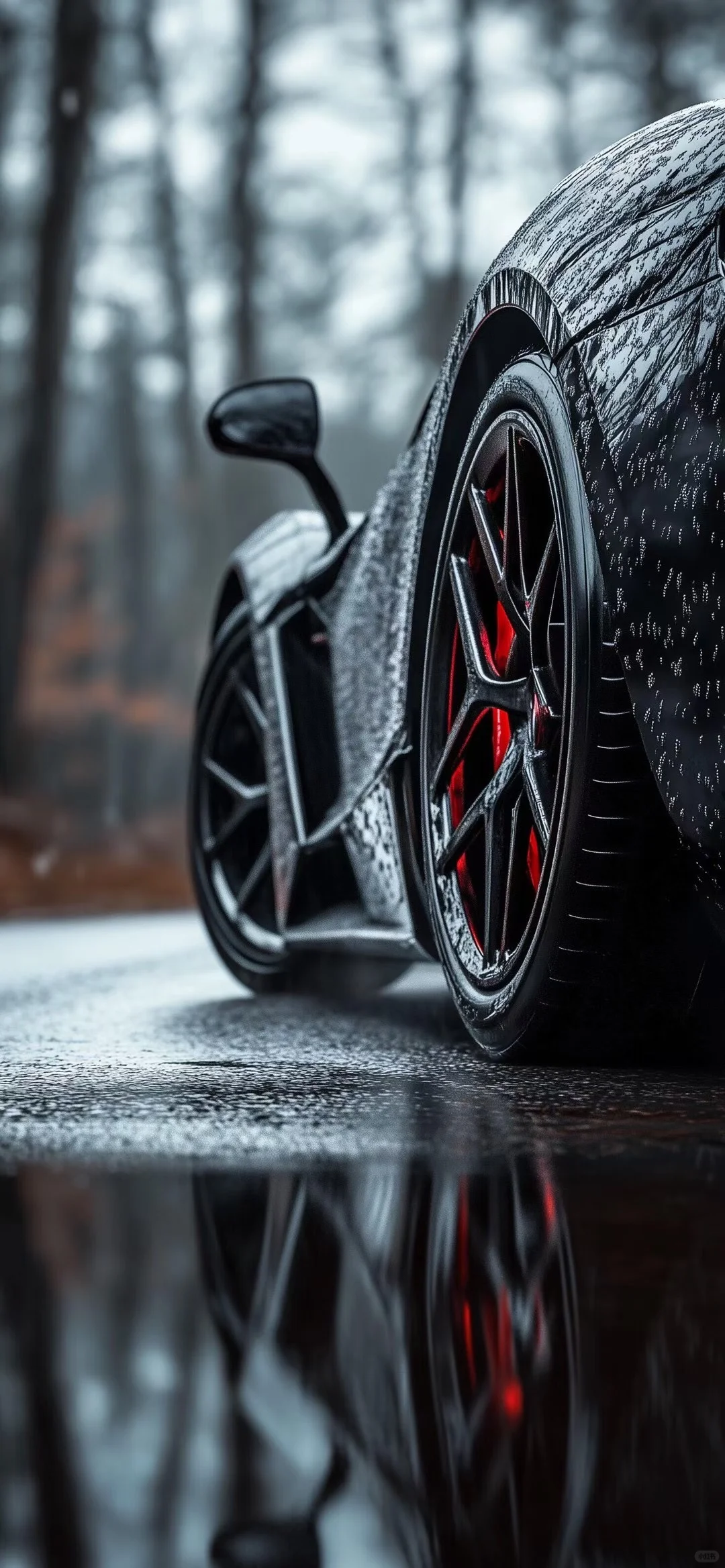 𝐒𝐡𝐚𝐫𝐞｜精选锁屏壁纸