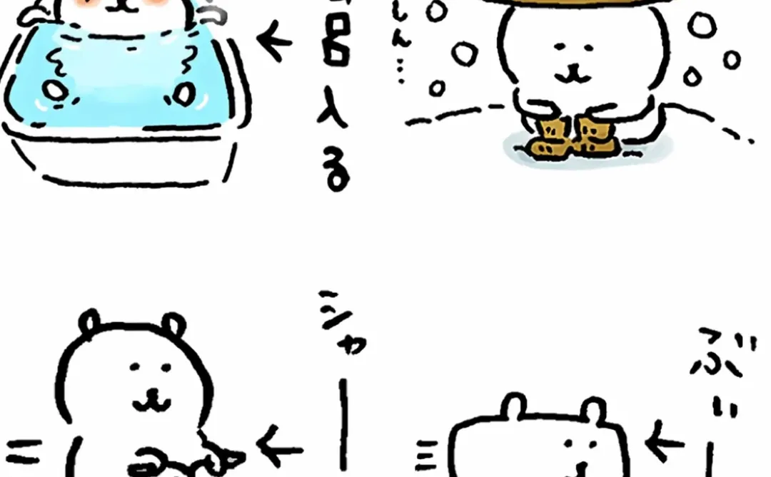 带来各种各种熊的表情包