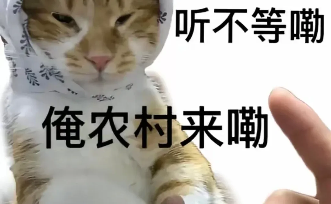 可爱猫咪表情包分享！