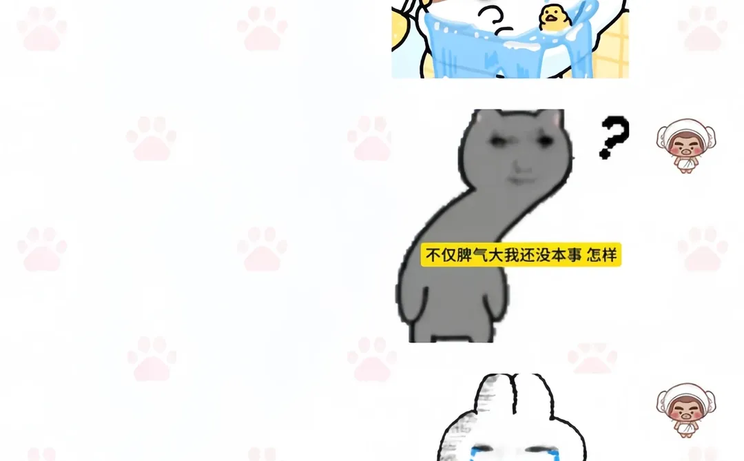 都快26年了谁还没进抽象表情包裙！！！