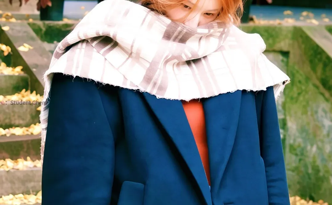 赵露思壁纸｜木质香味～🍂