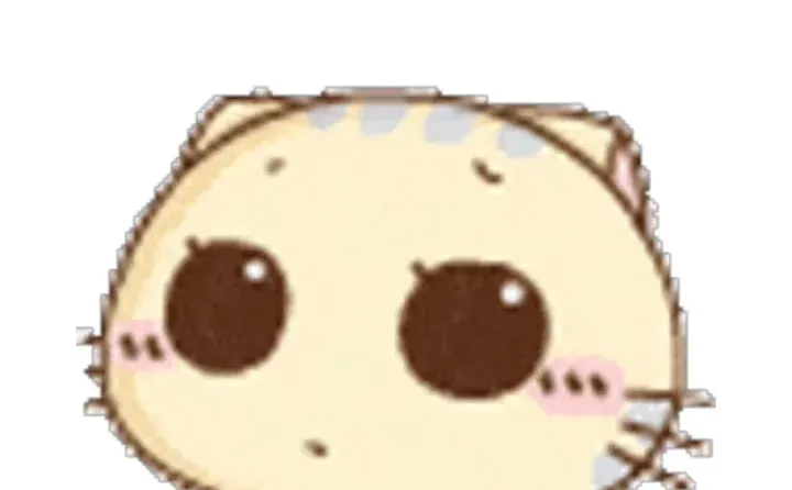 CC猫表情包｜这一路的麻辣鲜香只有自己知道