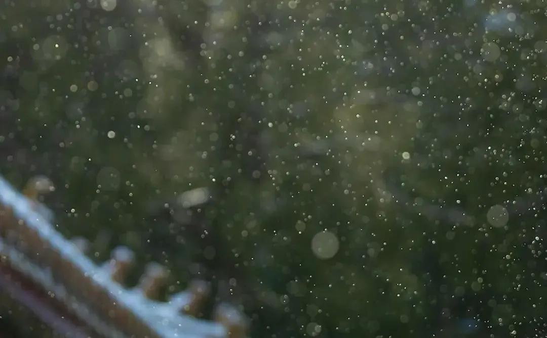 收藏这组壁纸，等于拥有了故宫雪季的入场券