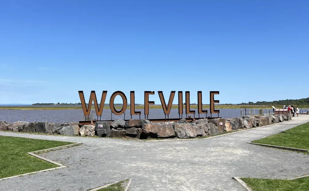 夏天要溜走啦！再不摘蓝莓分分钟蔫成表情包