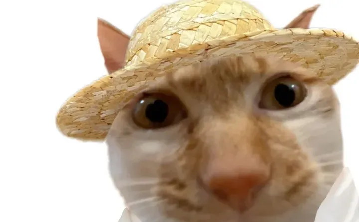 老实人专用表情包献给各位