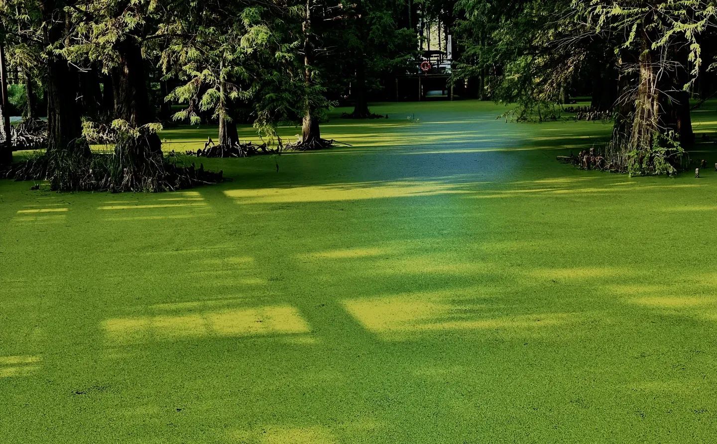 给平板换个壁纸，一不小心入坑了