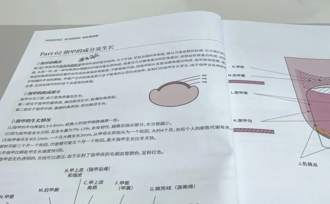 墨尔本大龄美少女回国末町搓甲第一天