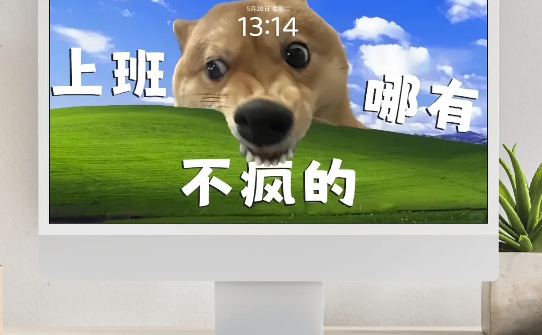 发疯壁纸‖堪比打工人