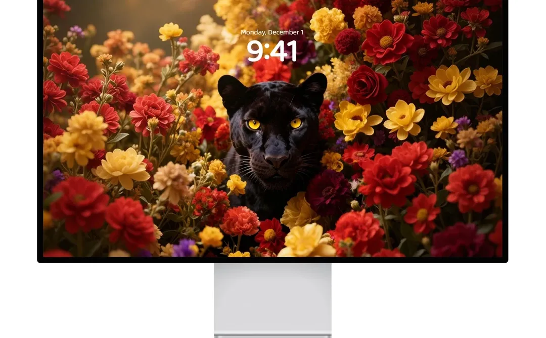 225｜高级氛围感壁纸｜花间黑豹