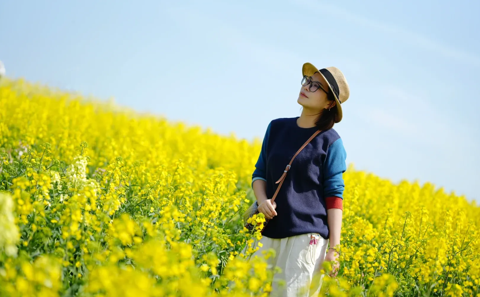 真的可以称之为花“海”的一组油菜花照片