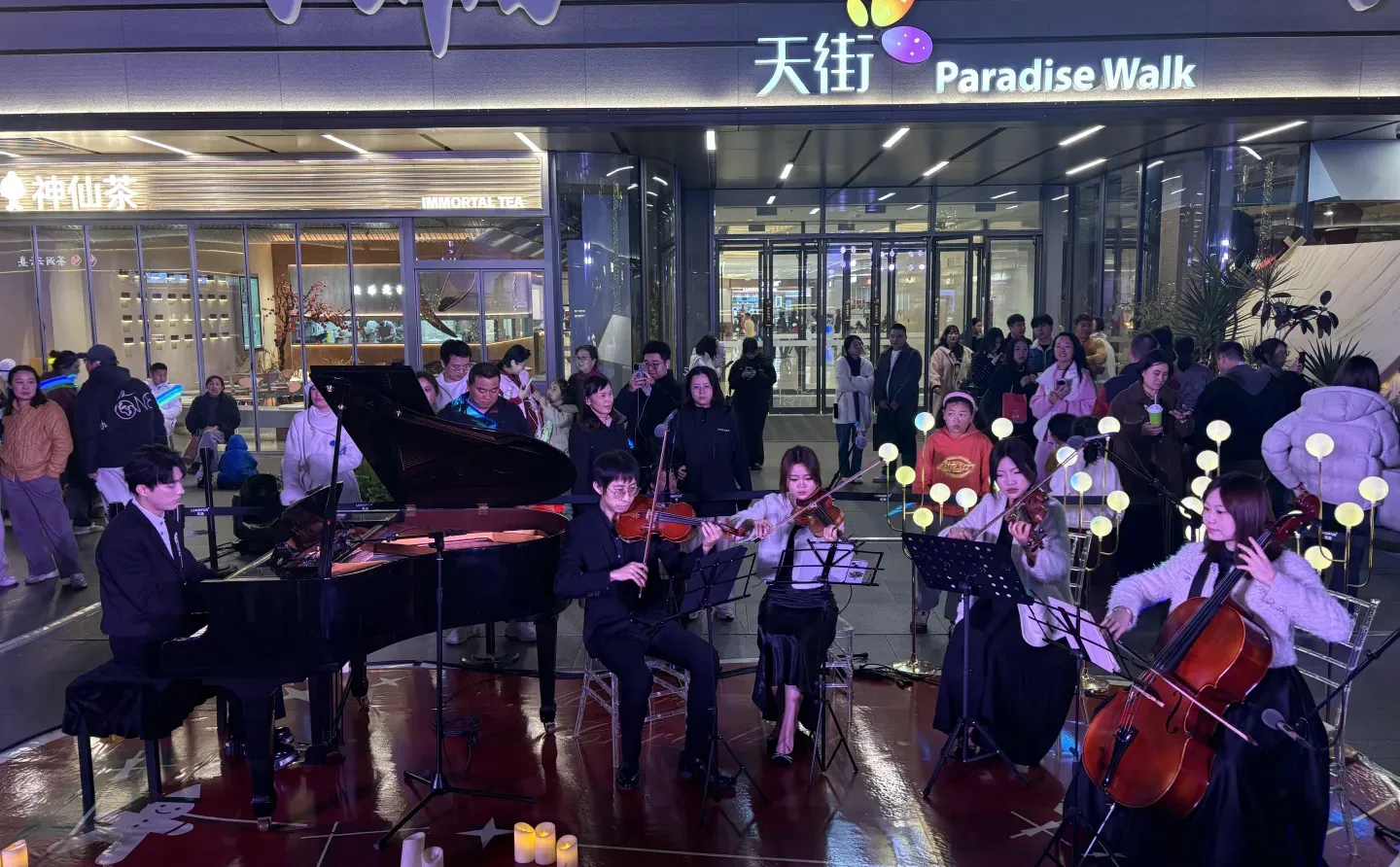 老板请吃漂亮饭🎄