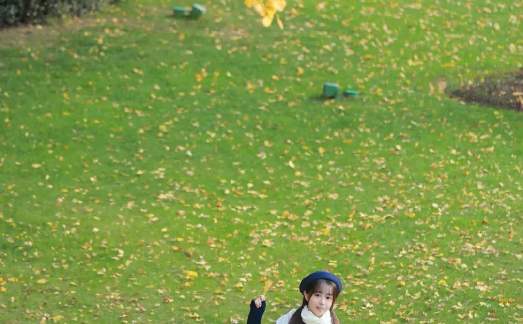 抓住秋天的尾巴，去拍银杏叶黄啦🍂