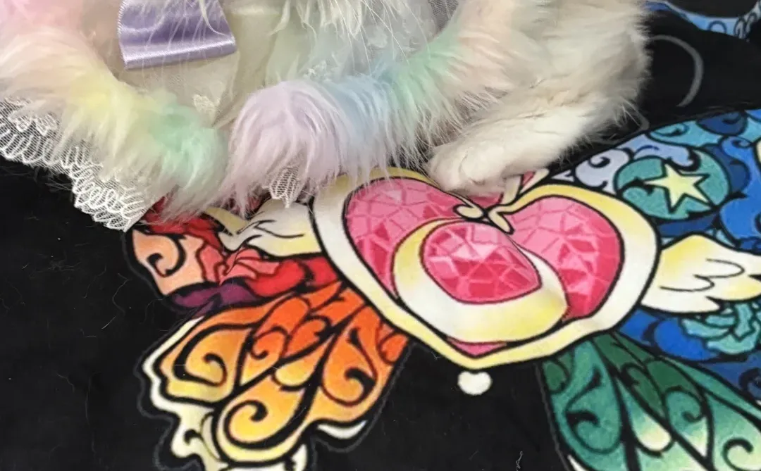 我的美少女猫咪