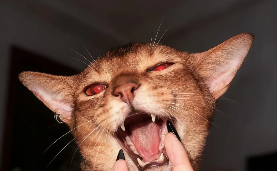 暗黑 + 怪诞美学｜每张都特别的小众壁纸