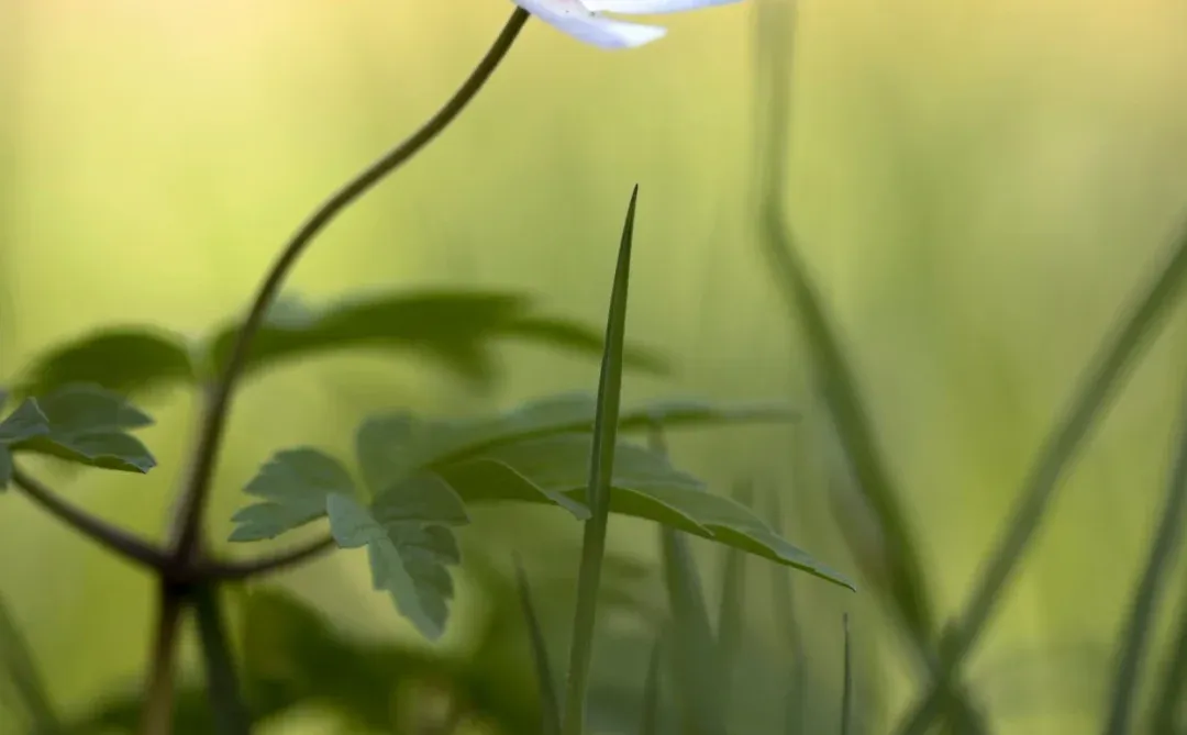 每日原图壁纸分享 ｜ 1220