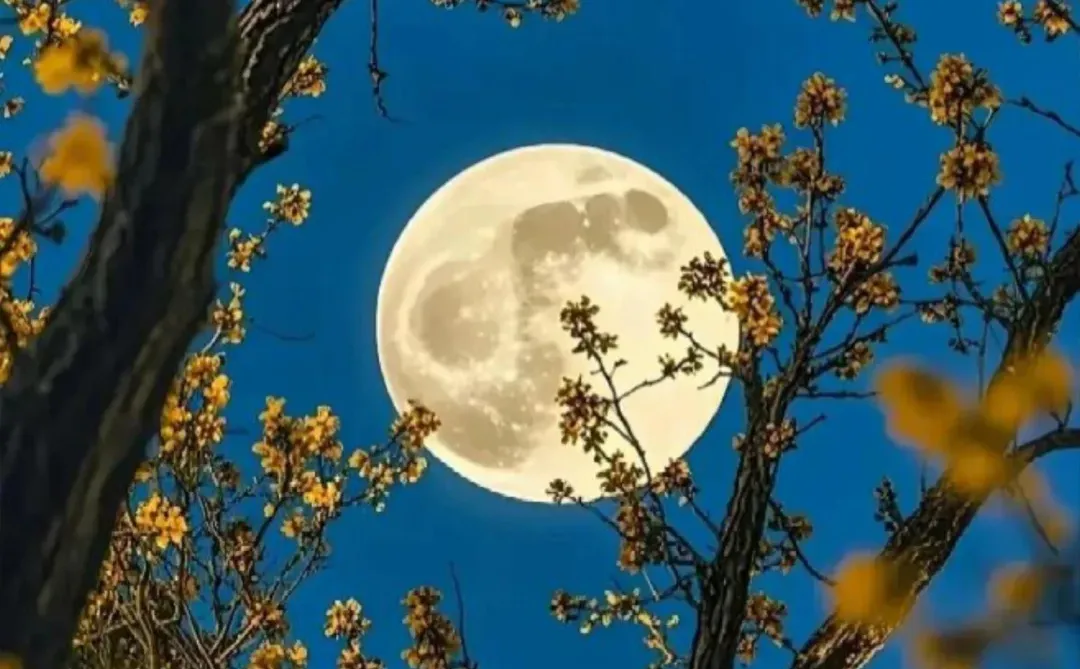 这是日月的浪漫约会