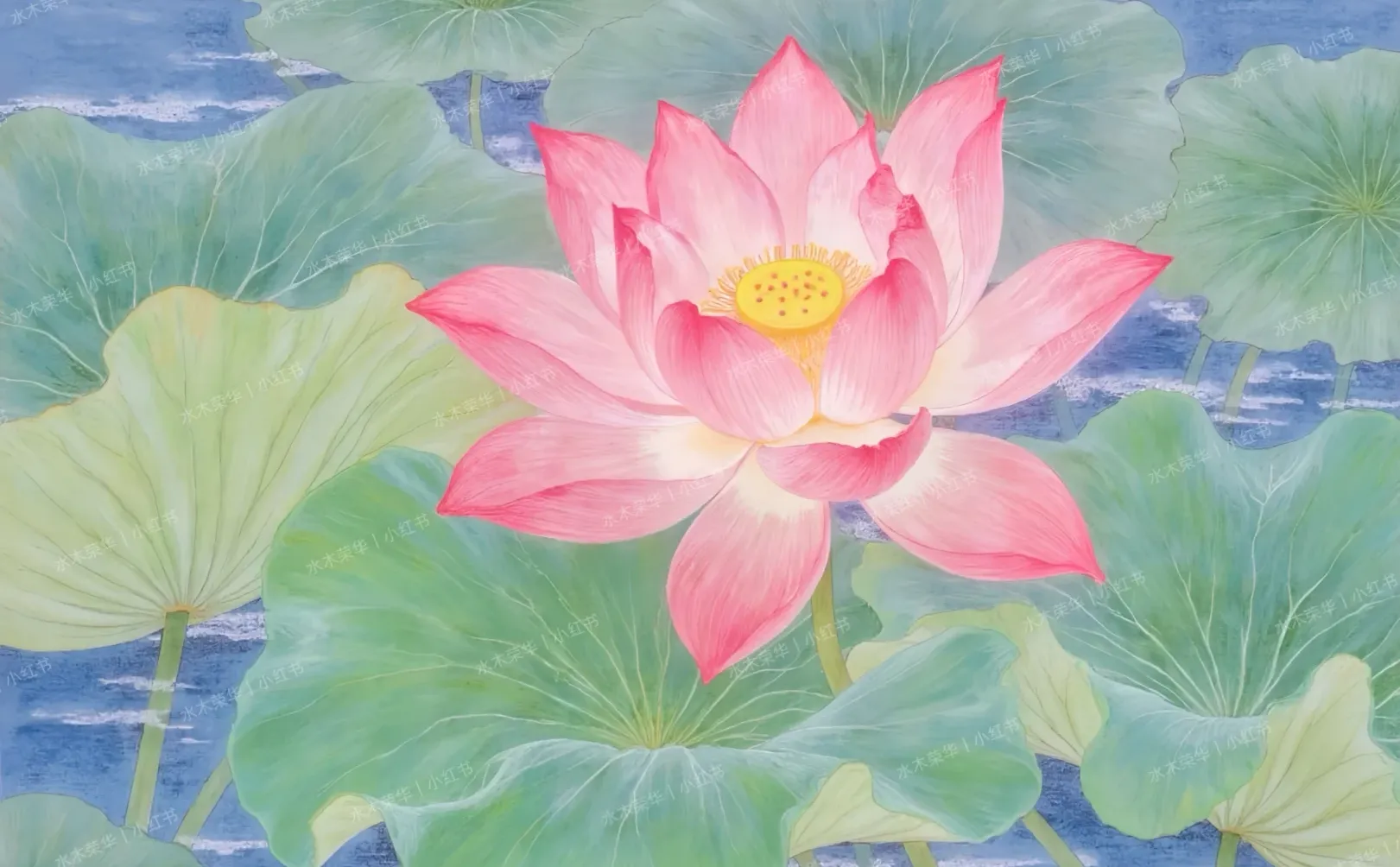 荷叶生绿意，荷花送清风🌸好运莲莲壁纸