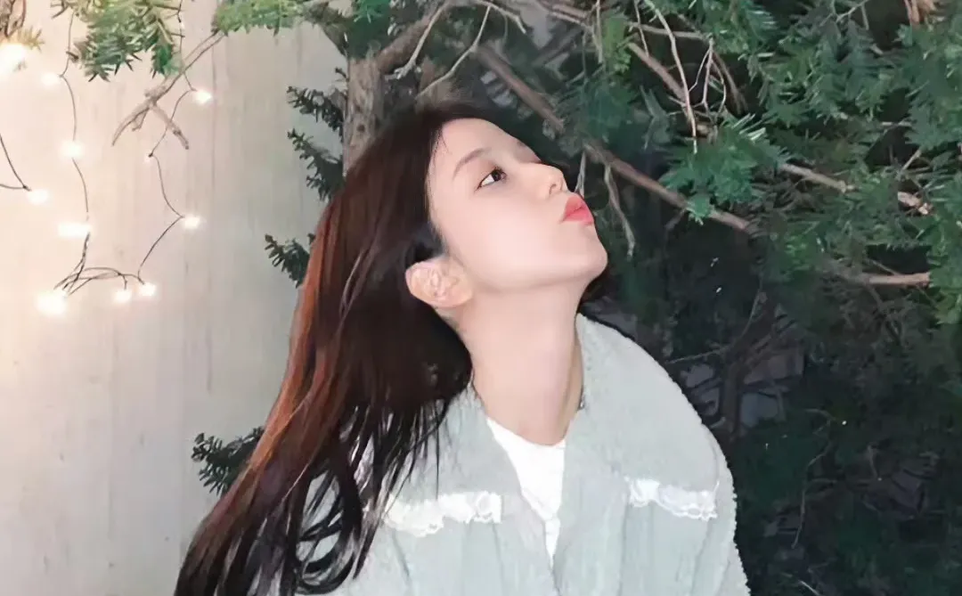 jisoo壁纸大放送🐰🍹