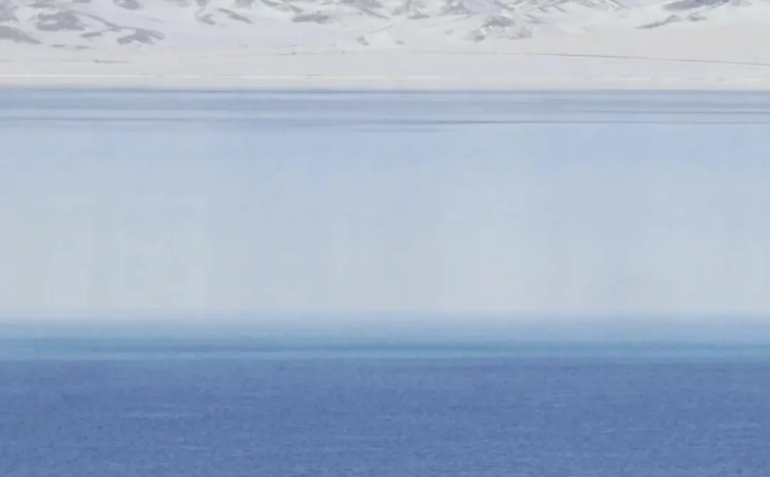 淡人会一眼就爱上的壁纸