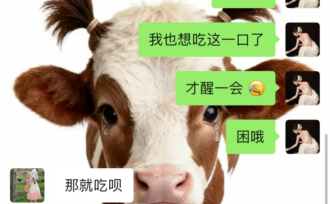 🌷|今日壁纸分享