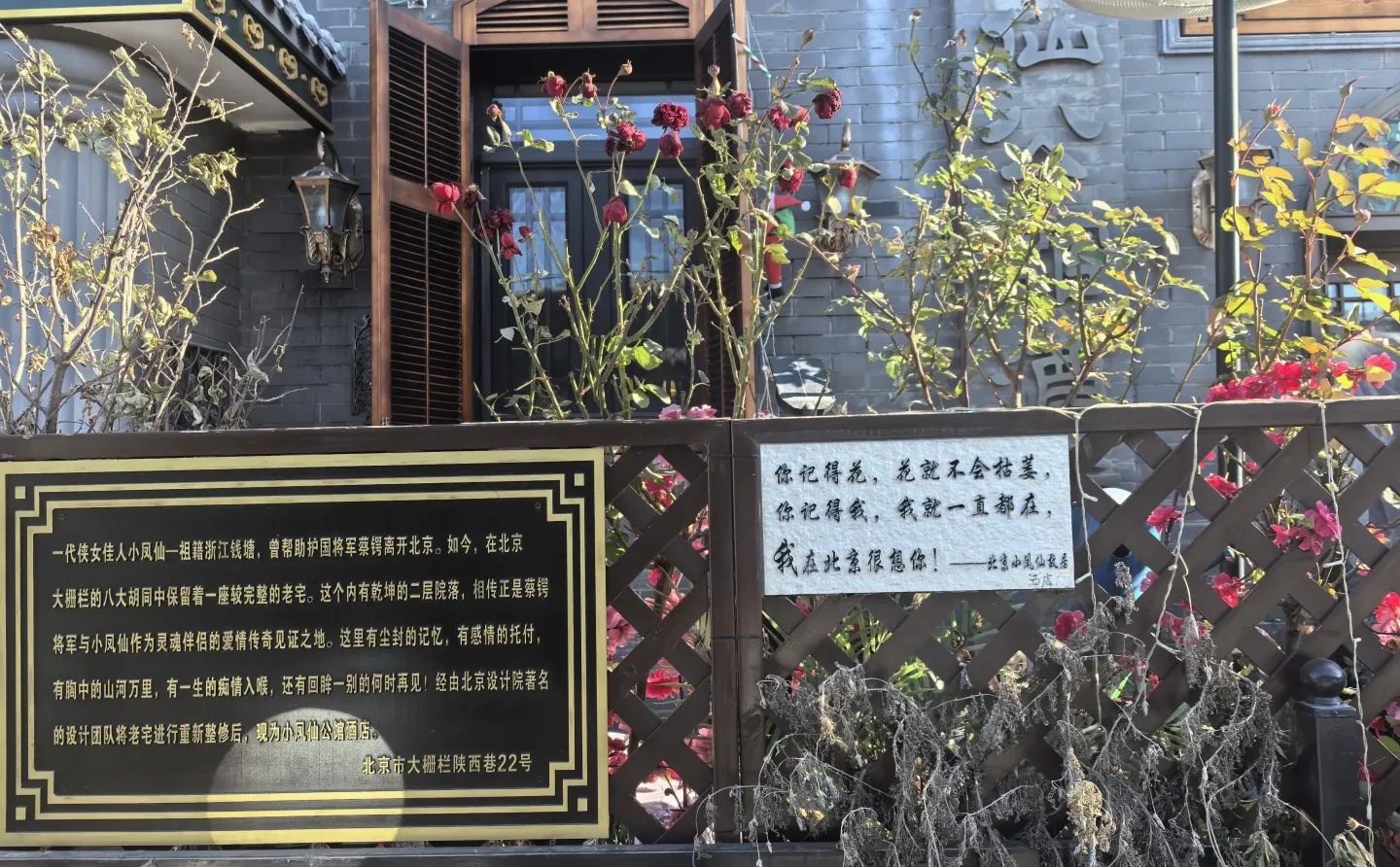 属于中国女人的冬日温馨浪漫🏵旗袍下午茶