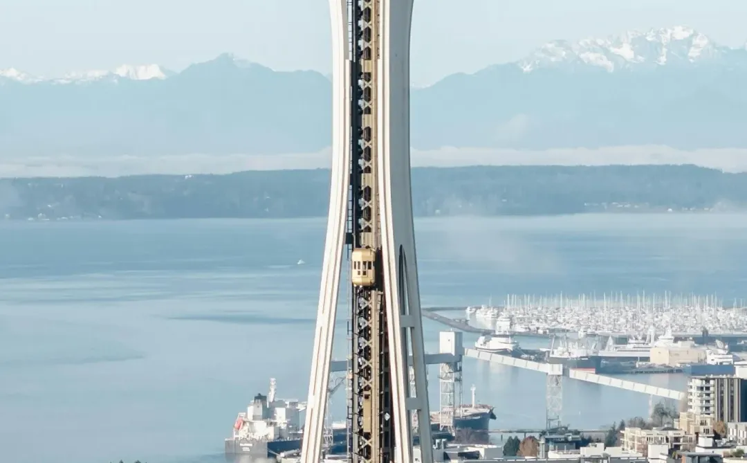 𝓐𝓷𝓼𝔀𝓮𝓻🪧丨壁纸赏鉴2501208