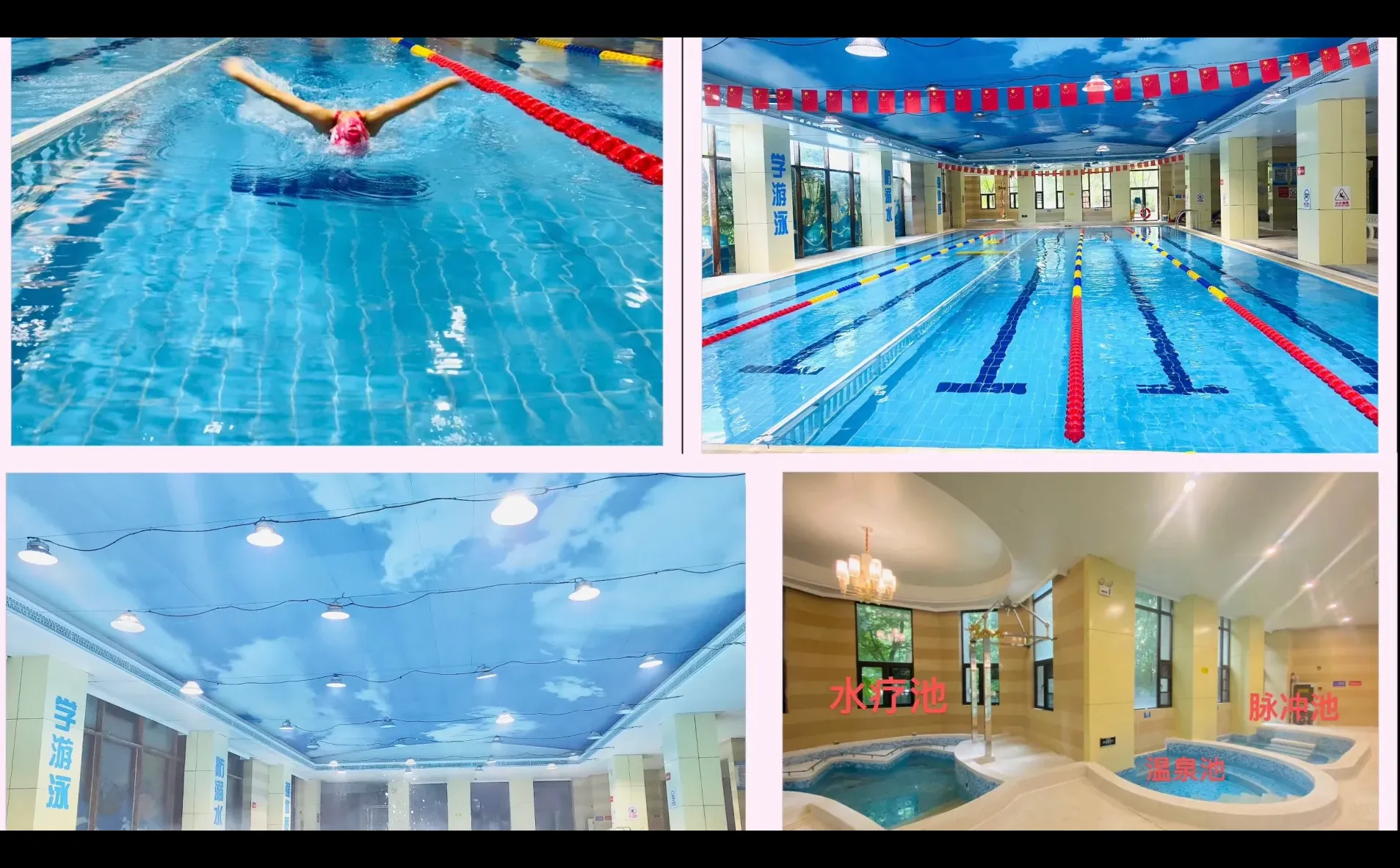 招聘游泳女教练！