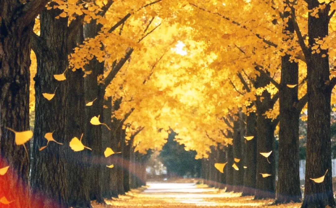 做个有妖气的女子