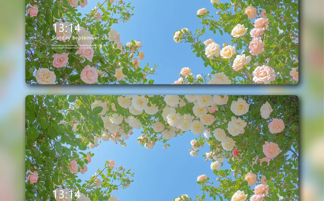 唯美治愈系花海壁纸，太喜欢啦！83