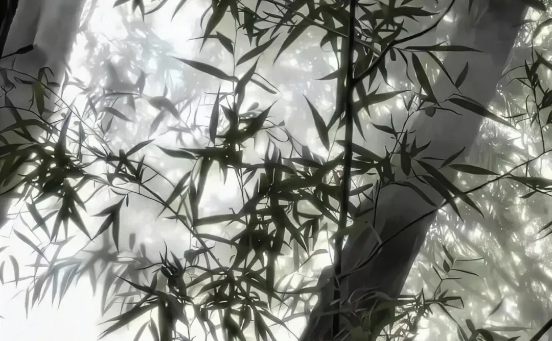 今天你换壁紫了么😁