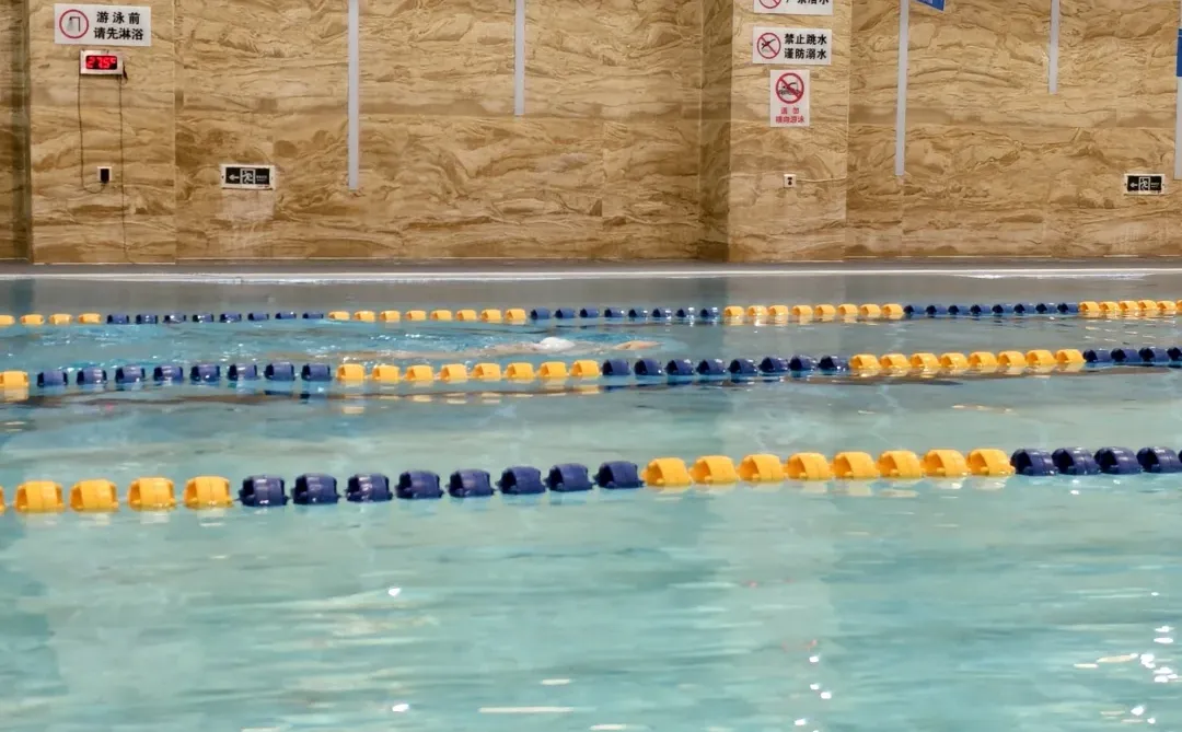 又是被自由泳累到的一天