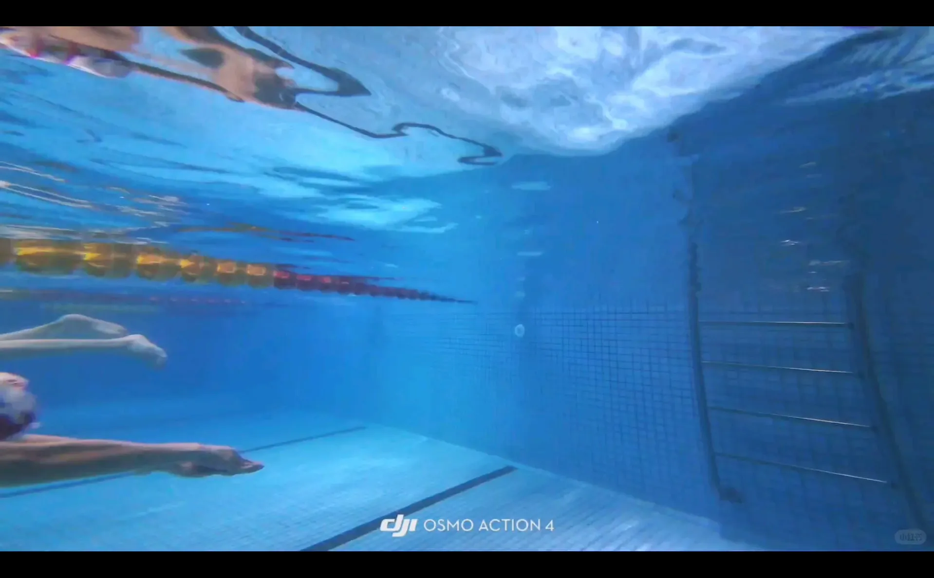 live︳好丑的自由泳和蝶泳腿