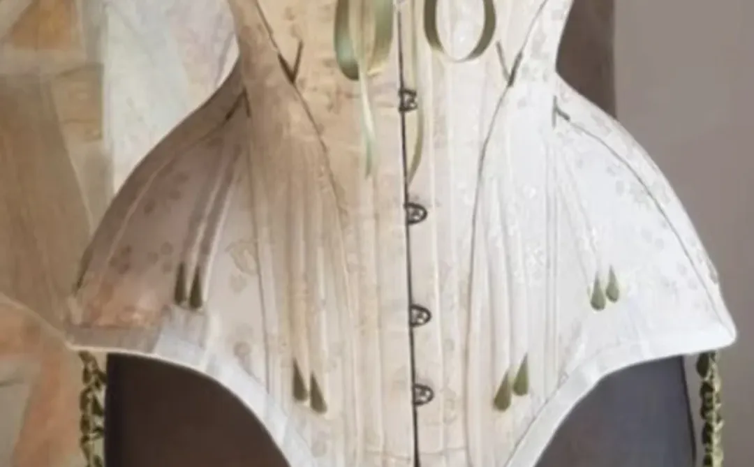 每日审美❣真是被古董鱼骨胸衣惊艳到失语！