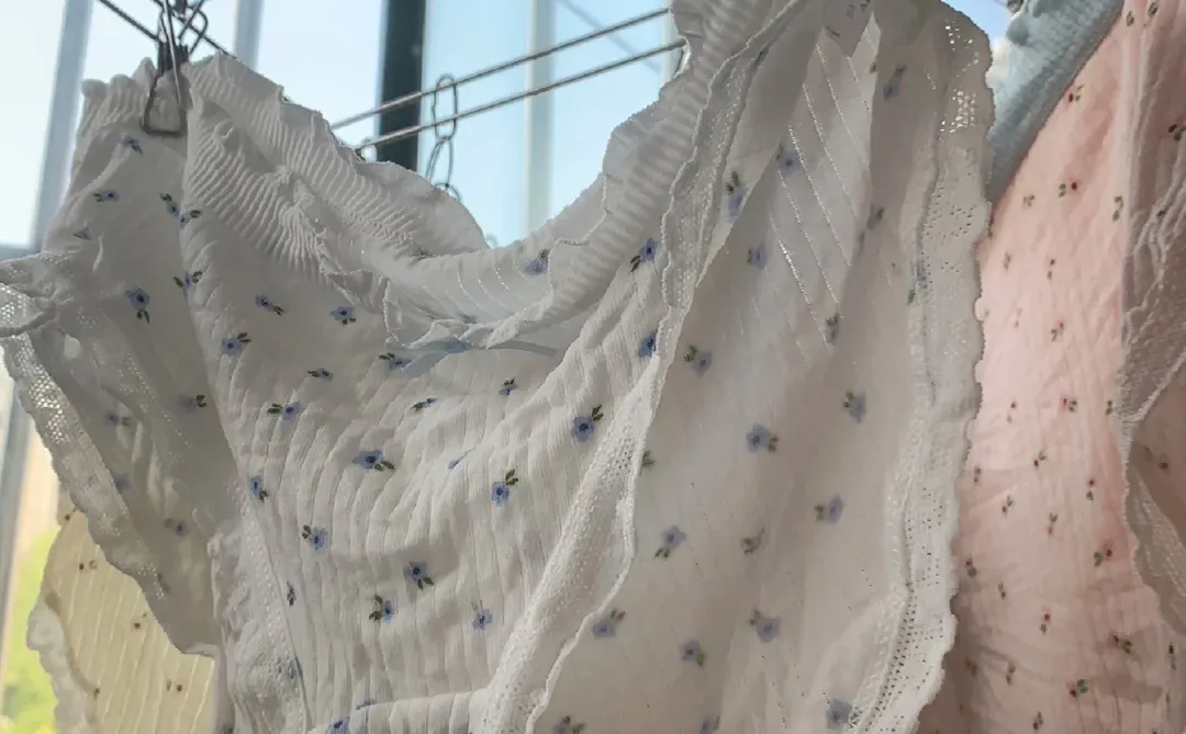 治愈系窗台｜少女感内裤晒单🌼