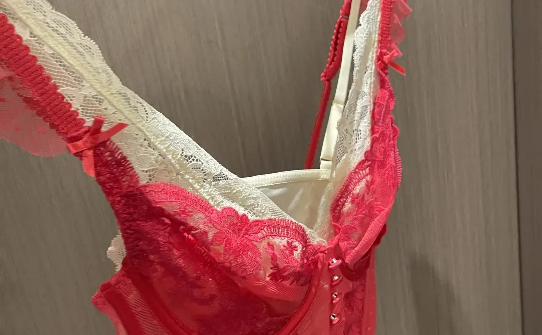 一眼心动4套法式鱼骨胸衣！左滑有上身效果图