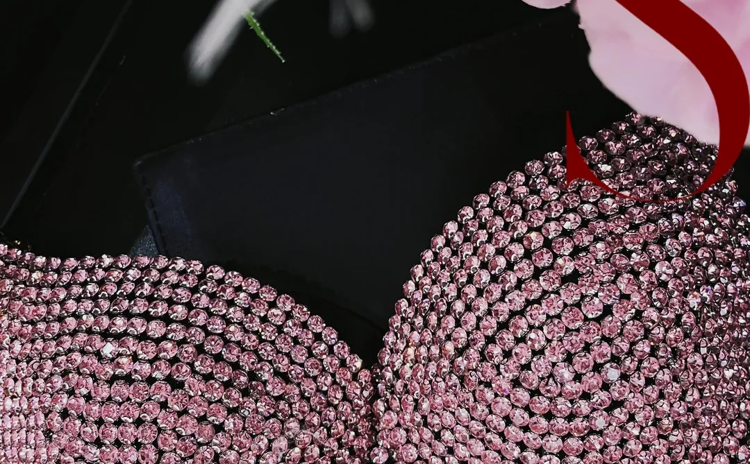 果然还得是我那又粉又闪的鱼骨胸衣（九）