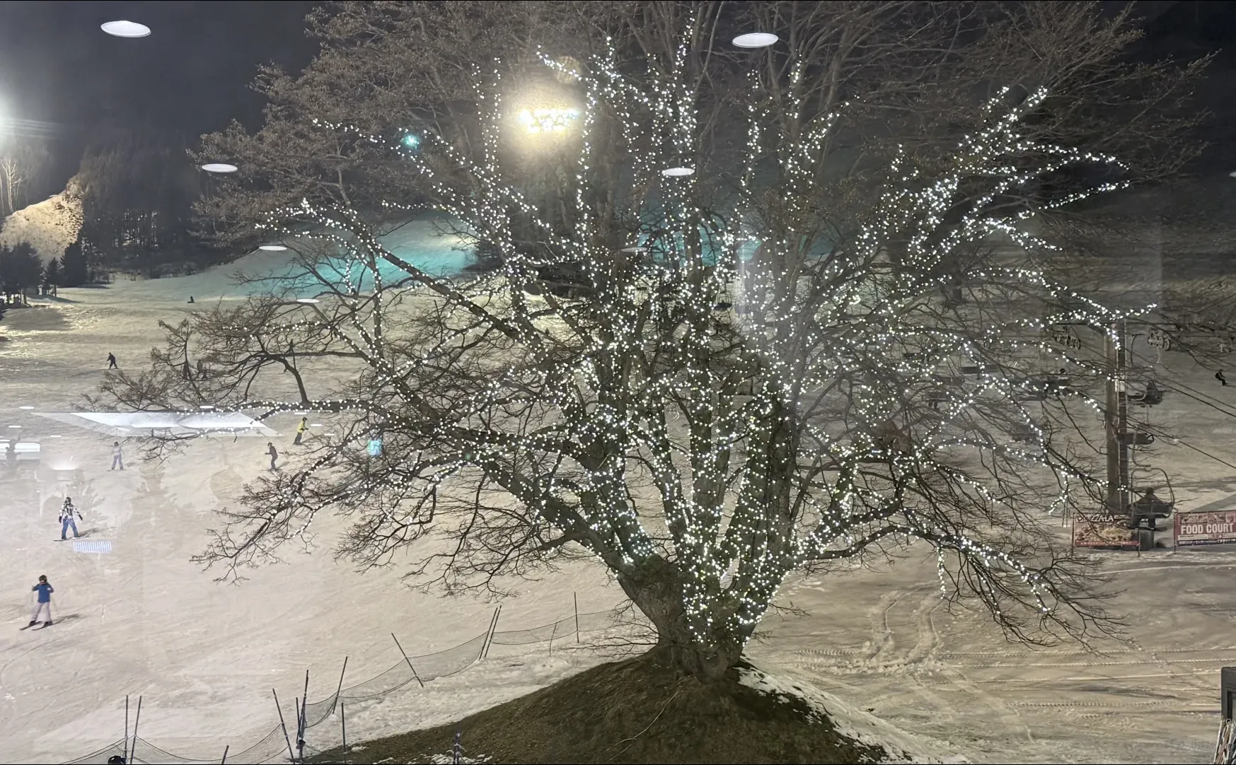 今年的裙子全被雪花占领了