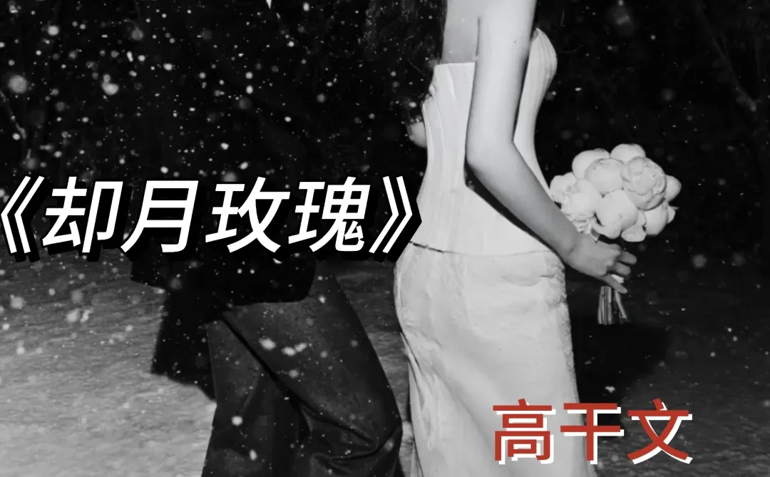 女明星×港城大佬，熟男熟女巨香巨好看！！