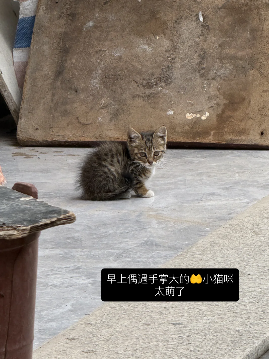 01｜小县城自媒体人的碎碎念日记