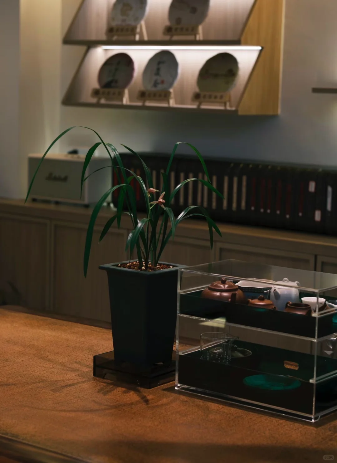 中年女性的成长