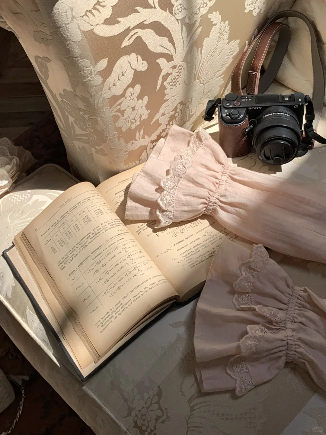 🌰 •͈ᴗ•͈ 🌰呀米呀米