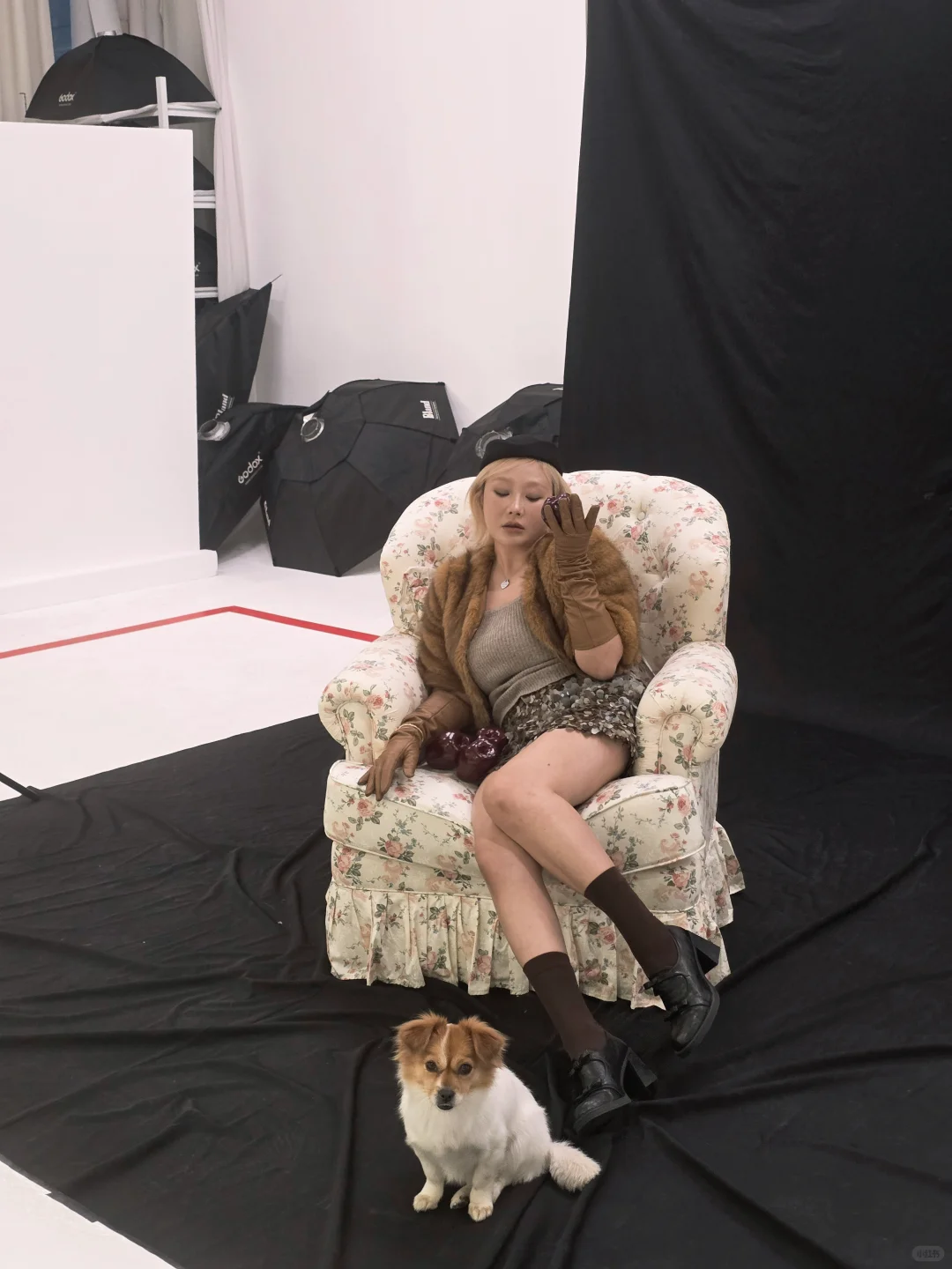 当一天韩女☆与fur baby的亲密合影📸️