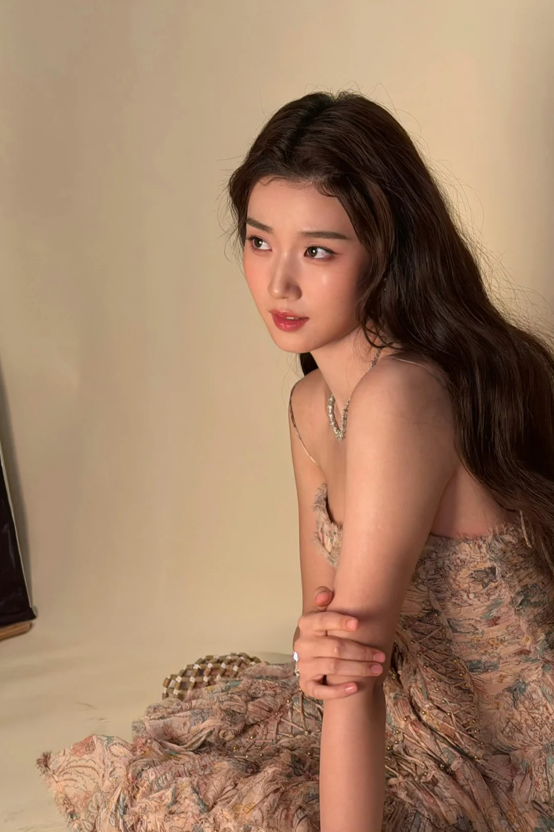 女神和她的茶杯犬炸毛小狗