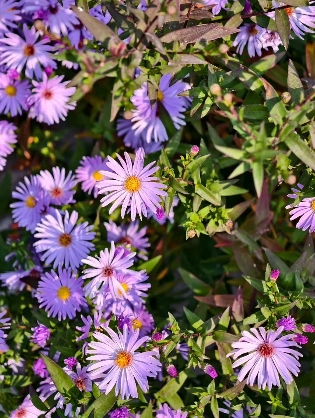 33岁 未婚未育 我毫无规划的人生