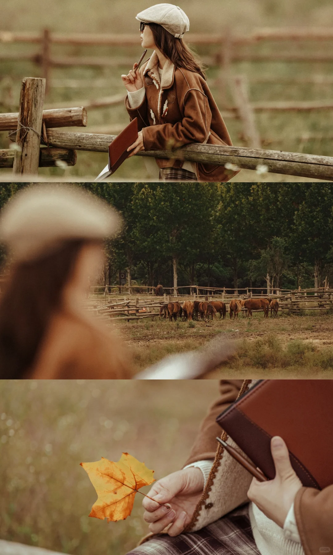 秋日复古电影感拍照｜重庆广阳岛太出片啦📸