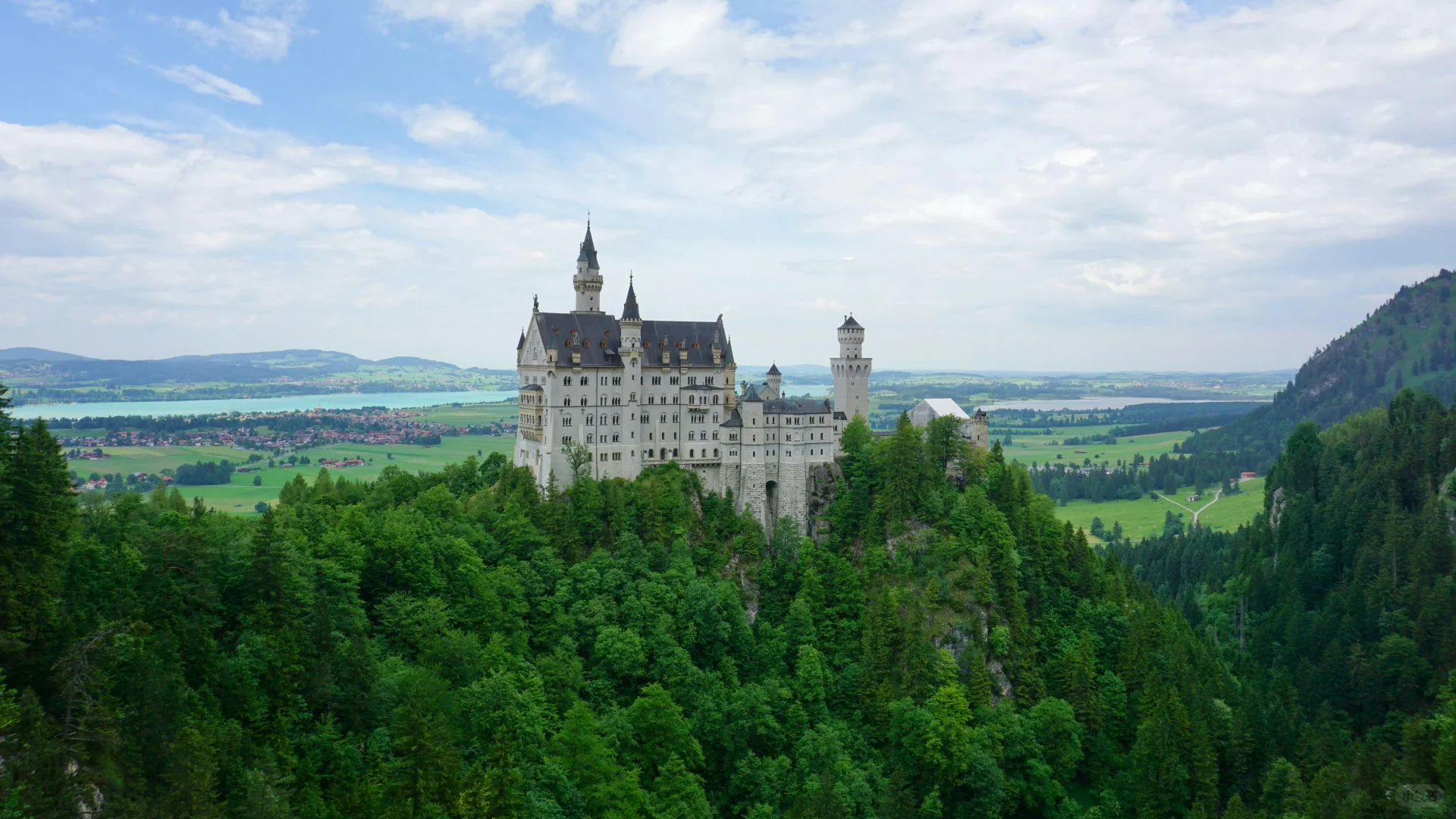 电脑ipad壁纸丨换个绿色壁纸吧