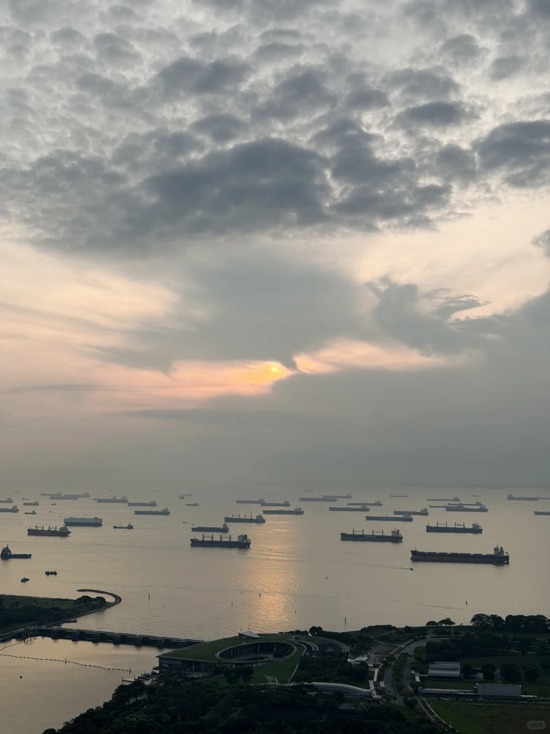 又到了最爱游泳的时间😽