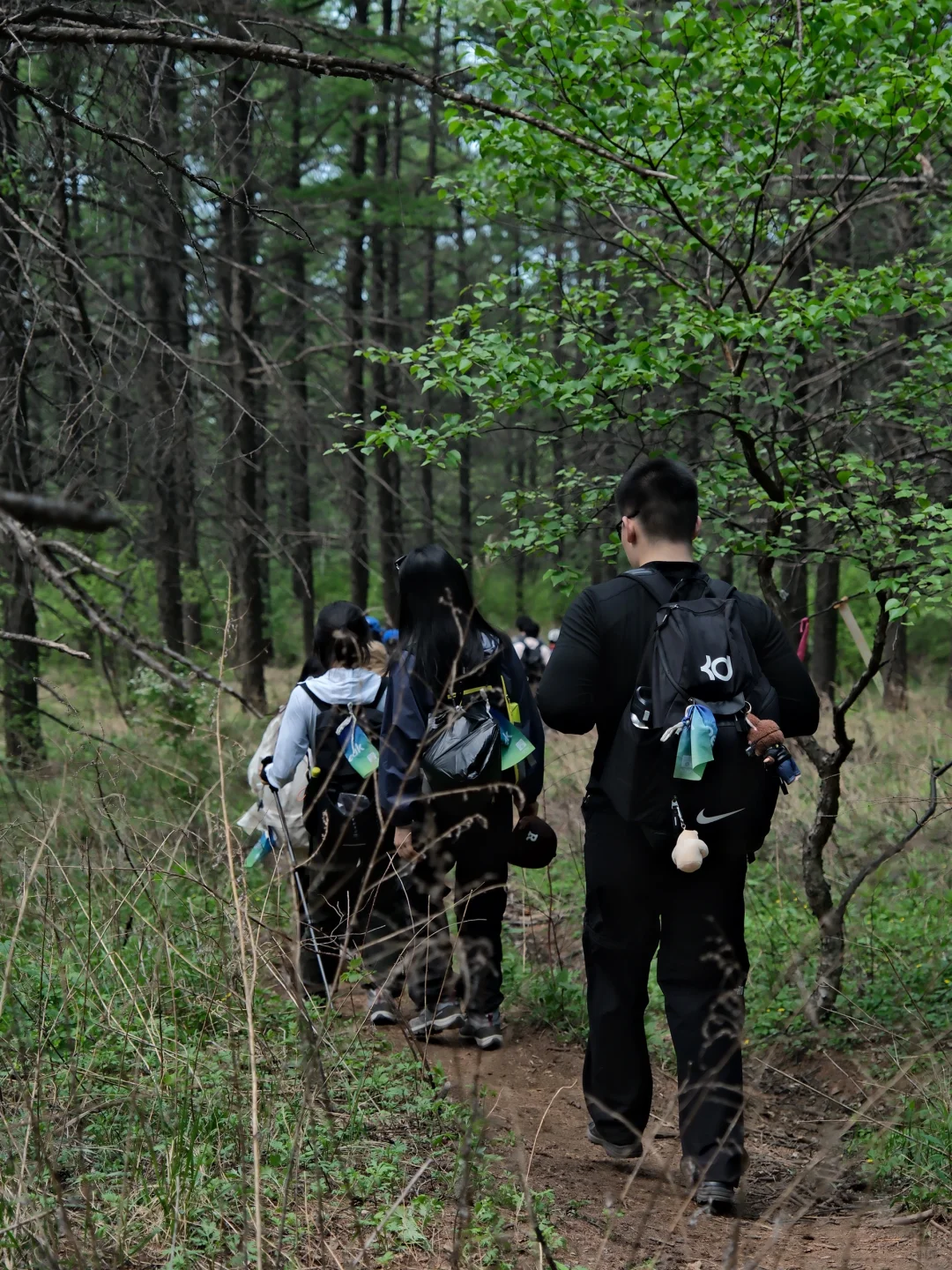 生活无解，不如当个太阳能女孩户外撒野！