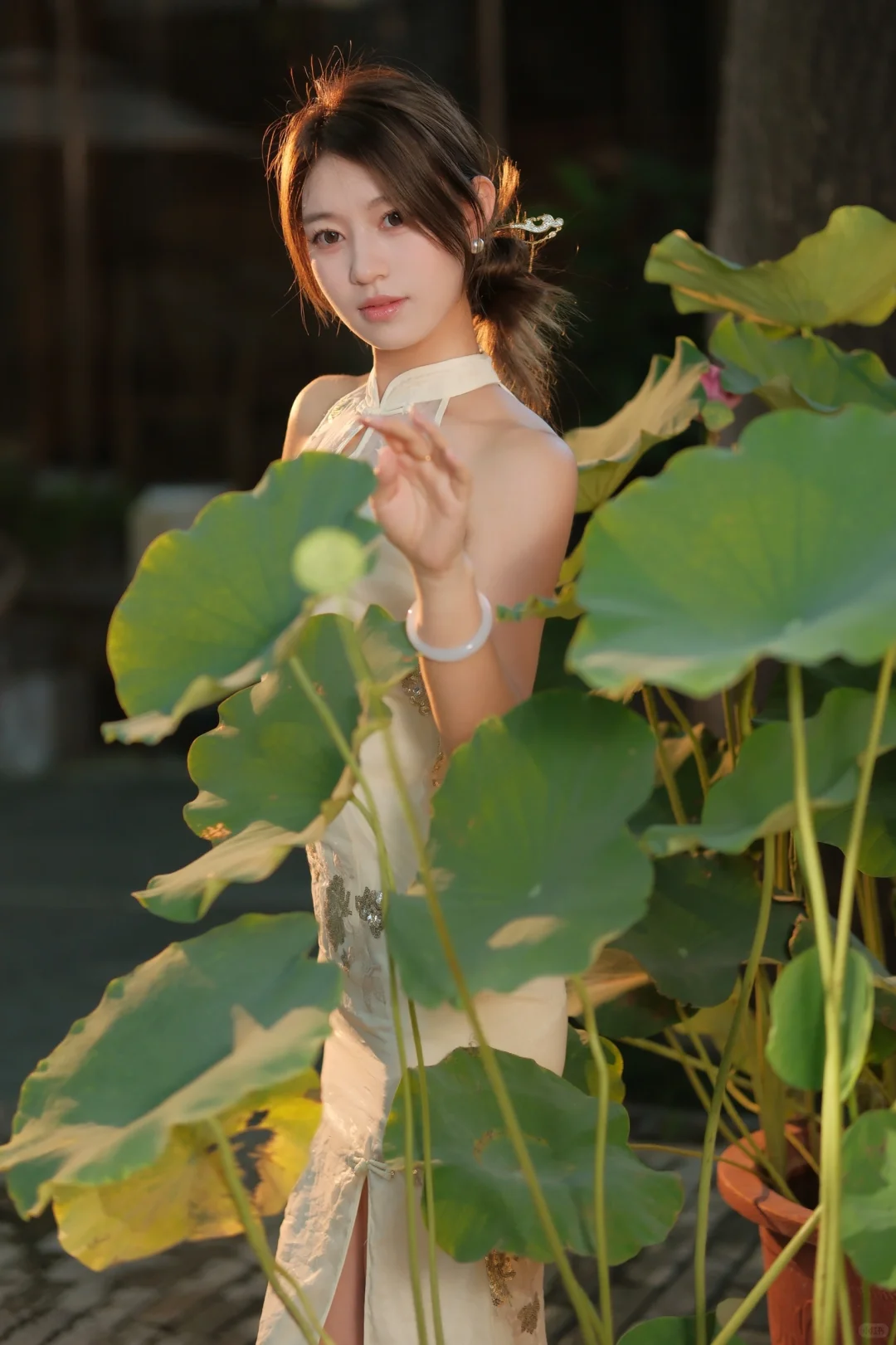 镜头下的一瞬间｜中式美学