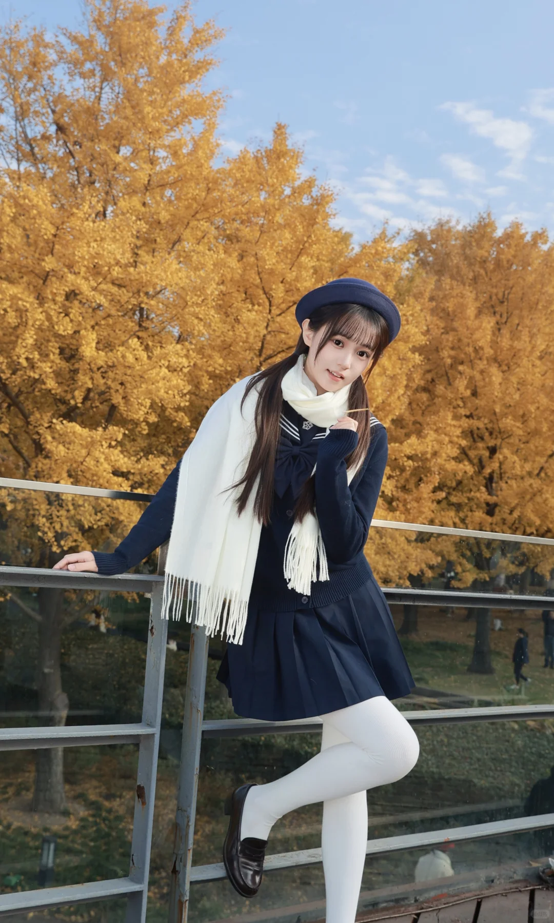 抓住秋天的尾巴，去拍银杏叶黄啦🍂